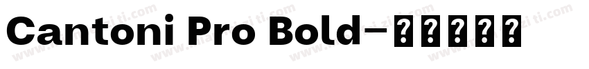 Cantoni Pro Bold字体转换